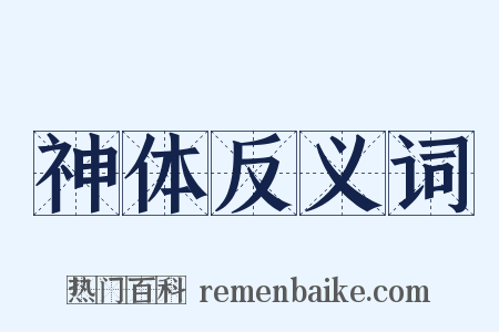 神体反义词是什么意思的图片